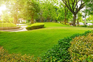Garden of smooth green grass lawn, trees with supporting, shrub in a good maintenance landscape in park, gray curve pattern walkway, sand washed finishing on concrete paving, flower base on the left clipart