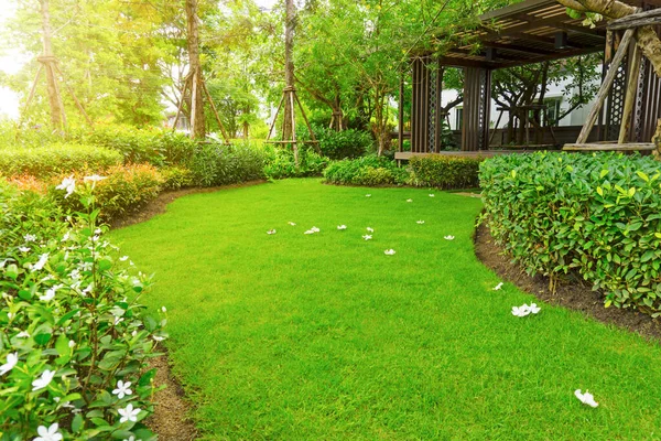 绿草草坪 草皮上的李子花 花园中的有支撑物 灌木和木制格栅的树木的精心保养景观 — 图库照片