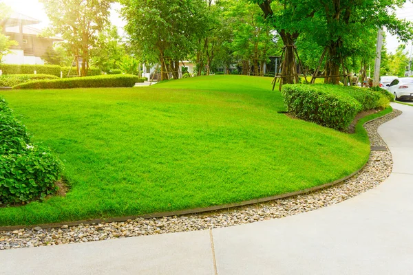 Césped Hierba Verde Liso Árboles Con Soporte Arbusto Buen Paisaje — Foto de Stock