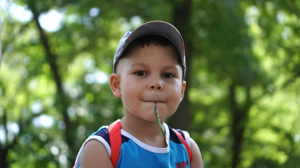 公园里穿着蓝色T恤头戴蓝色帽子的小男孩 — 图库照片
