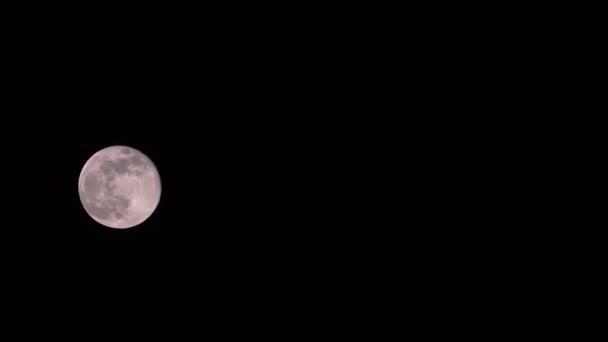 Luna Llena Moviéndose Sola Cielo Oscuro Sin Estrellas Noche Primavera — Vídeo de stock