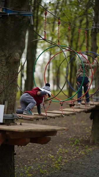 Zwei Mutige Kleine Jungen Klettern Einem Abenteuer Seilpark Auf Einer — Stockfoto