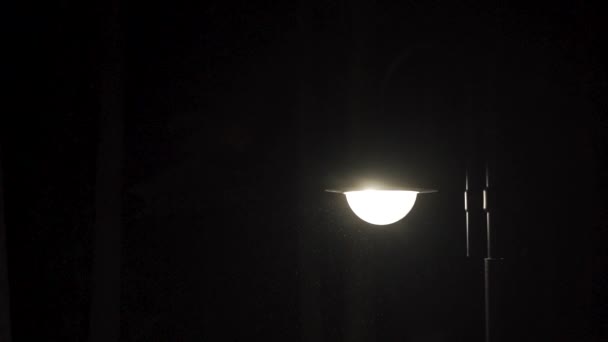 Lampadaire avec chute de neige. Tempête de neige sur le fond d'une lanterne la nuit — Video