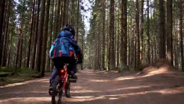 Un niño con una chaqueta azul en una bicicleta roja pasea por el bosque — Vídeos de Stock