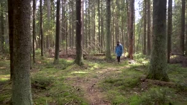 Joven hermosa mujer en un ambiente de naturaleza romántica . — Vídeos de Stock