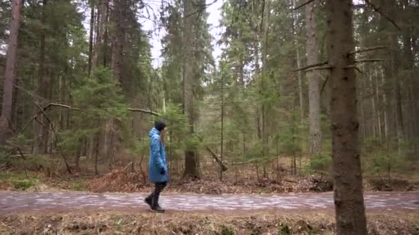 Het meisje in een blauwe regenjas gaat op een toeristisch bospad. Zijaanzicht — Stockvideo