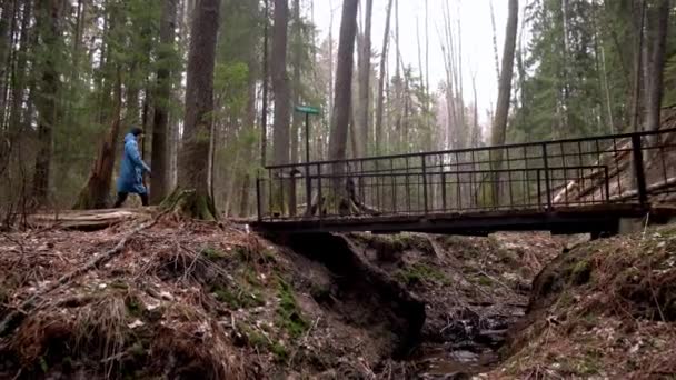 Beautiful girl in a blue raincoat walks over a bridge in the forest. — Stock Video