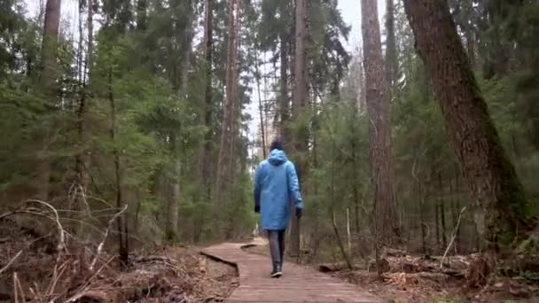 La chica va en un sendero turístico del bosque — Vídeos de Stock