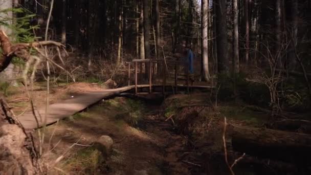 La niña con un impermeable azul va en un camino del bosque turístico. Día soleado — Vídeos de Stock