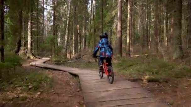 Niño montando una bicicleta a través del bosque — Vídeos de Stock