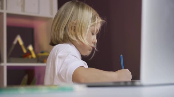 Educación a distancia en línea. un lindo niño de la escuela dibujo en una lección en línea en un ordenador portátil en casa — Vídeos de Stock