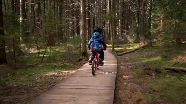 Un niño con una chaqueta azul en una bicicleta roja pasea por el bosque. Lento. — Vídeo de stock