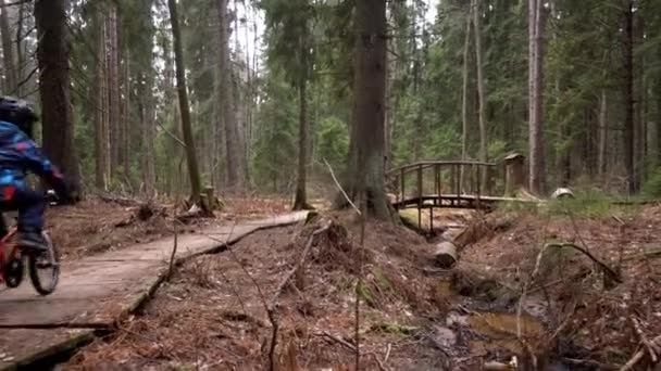 A child in a blue jacket on a red bicycle rides through the forest On a wooden eco trail. Slowmotion — Stock Video