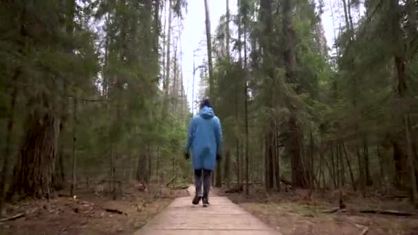 La chica en un impermeable azul va en un camino de bosque turístico — Vídeo de stock