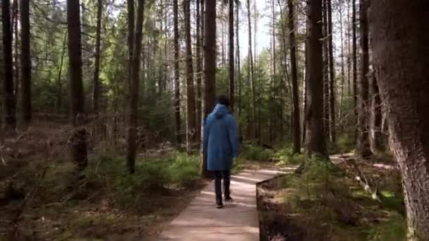 The Girl Goes On A Tourist Forest Path. Journée ensoleillée 