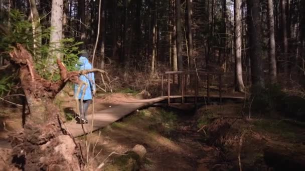 Dziewczyna w niebieskim płaszczu idzie na turystyczną ścieżkę leśną. Słoneczny dzień — Wideo stockowe