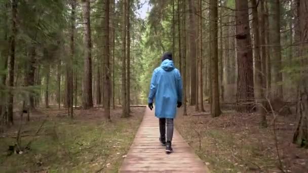 Een vrouw wandelt langs een ecologisch pad in een bos — Stockvideo