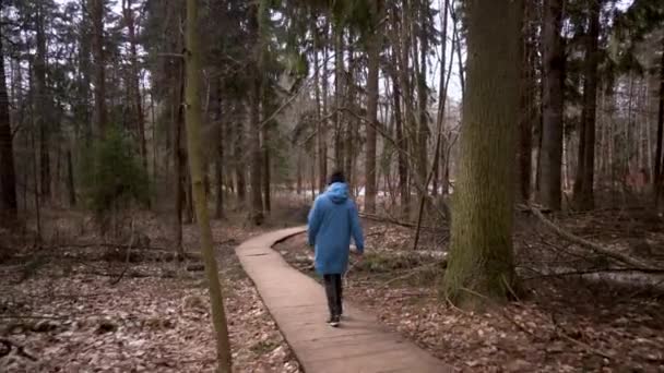 La niña con un impermeable azul va en un camino del bosque turístico. Ángulo ancho — Vídeo de stock