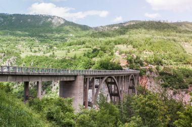 Tara köprüdür beton kemer köprü Tara Nehri üzerinde