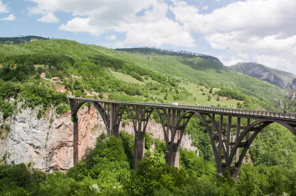 Tara köprüdür beton kemer köprü Tara Nehri üzerinde