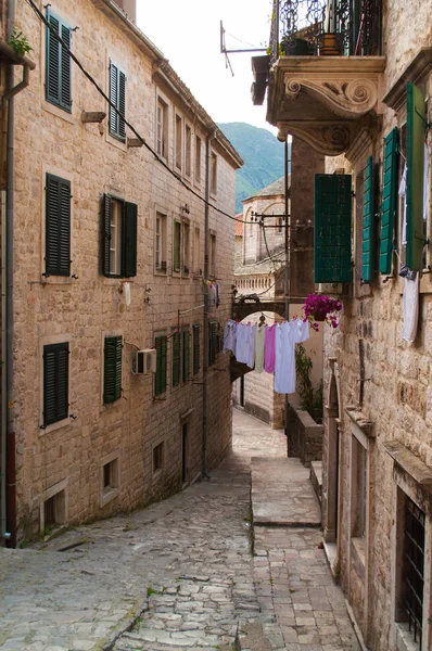 Kotor is a coastal town in Montenegro. — Stock Photo, Image