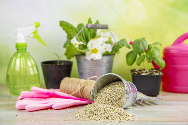 Mixing vermiculite granules pellets with black gardening soil improves water retention, airflow, root growth capacity of all the plants growing in pots. Different gardening tools on the background.