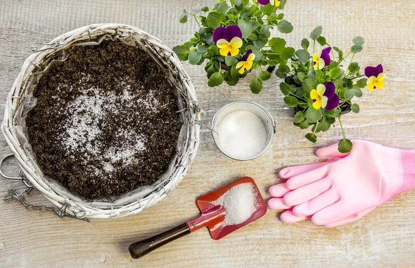 Water Gel Granules Absorb Water Stored Water Available Release Gradually — Stock Photo, Image