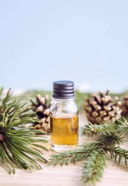 Çam ve köknar ağacı aromalı yağ şişesi. Çam ağacı ve köknar ağacı dalları. Işıklar ahşap arka planda süslemek için. Temel petrol konsepti.