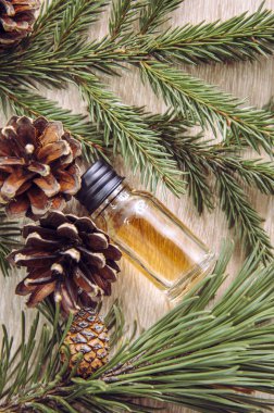 Çam ve köknar ağacı aromalı yağ şişesi. Çam ağacı ve köknar ağacı dalları. Işıklar ahşap arka planda süslemek için. Temel petrol konsepti.