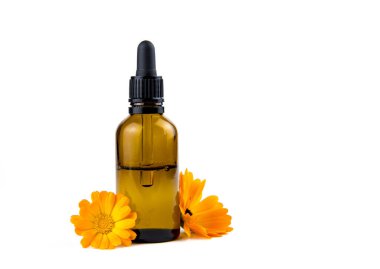Calendula officinalis the pot marigold, ruddles, common marigold or Scotch marigold, plant tenture or oil in little brown glass medical pipette bottle with calendula floms on white.