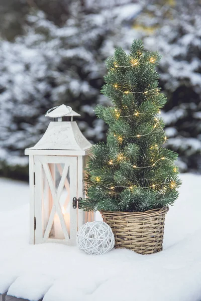 白いワックスキャンドルと白の木製のランタンは 冬には屋外 雪の中で茶色の籐の花の鍋にマイクロLedライトと小さなクリスマスモミの木を点灯します スペースのコピー — ストック写真