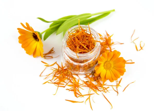 Getrocknete Calendula Officinalis Der Topf Ringelblume Röschen Gemeine Ringelblume Oder — Stockfoto