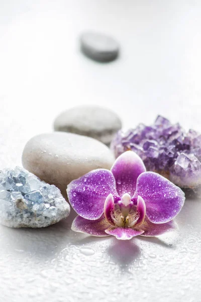 One pink orchid blossom with zen stones and amethyst cluster and blue cluster crystal on light background with water drops. Alternative medicine concept. — Stock Image One Pink Orchid Blossom Zen Stones Amethyst Cluster Blue Cluster Stock Picture