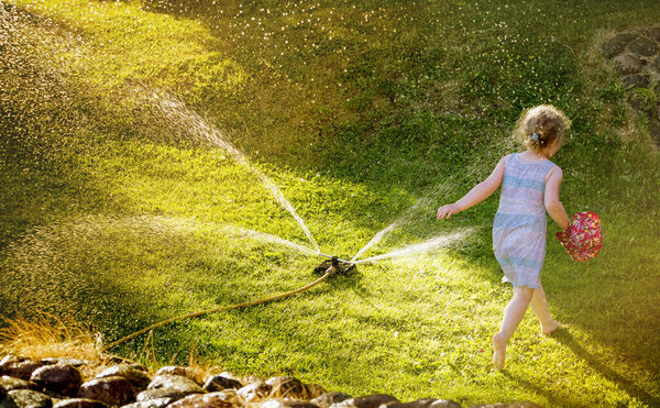 Irrigation sprinkler device for irrigation of home lawn, grass working and happy playful girl running through garden sprinkler summer night.