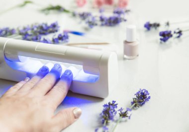 Ultraviyole oje sertleştirmek için LED ultraviyole lamba tırnak kurutma makinesi kullanan kadın elini kapat. Arka planda açık beyaz arka planda bir şişe pembe oje ve lavanta çiçekleri..