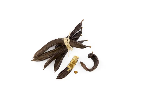 Carob Pod Ceratonia Siliqua Vagem Carobis Madura Seca Torrada Muitas — Fotografia de Stock