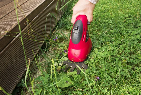 Close up of woman hand cuts too long grass with electric pruning shears, trimming the lawn in the side of the bark mulch covered flower bed. Working in garden concept.