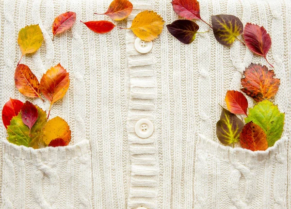 Binnen Plat Uitzicht Witte Zachte Gebreide Textiel Achtergrond Met Kleurrijke — Stockfoto