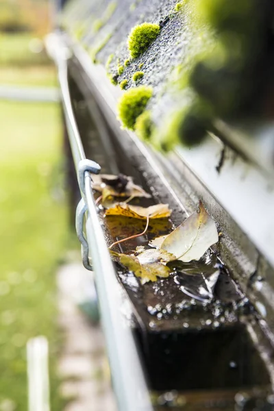 Rainwater gutter cleaning concept, lot of autumn leaves in metal gutter.