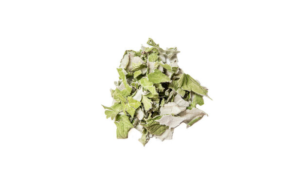 Dried Tussilago farfara( coughwort, tash plant, farfara) commonly known as coltsfoot believed to be natural cough remedy.