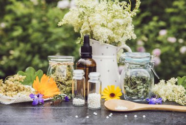 Tahta masada homeopatik ilaç hapları, kavanozlarda ve tahta kaşıklarda küreler, yazın açık havada taze ve kuru bitkilerle süslenmiş, yeşillik arka plan. Homeopati kavramı.