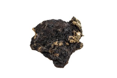 20 yaşından büyük doğal organik mantar yığını Inonotus oblikus beyaz arka planda izole edilmiş. Sonbaharda huş ağacının gövdesinden toplanmış. Bitkisel tıp konsepti.