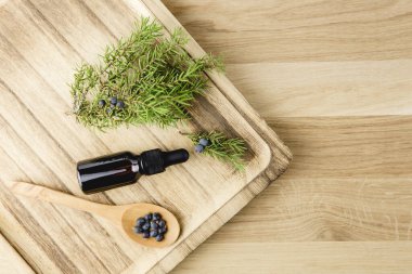 Düz görünüm Juniper Latin Juniperus Communis böğürtlen yağı kahverengi damlacık şişesinde, ardıç ağacı dalı daha güvenilir koniler ve böğürtlenler etrafa saçılmış, kopyala boşluk.