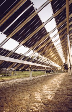 Sahadaki çift taraflı güneş panellerine yukarıdan bakıldığında, doğada, Kuzey Avrupa 'da yeni 2019 güneş enerjisi üretim tesisi inşa ediliyor. Güzel sıcak akşam güneşi ışığı. 