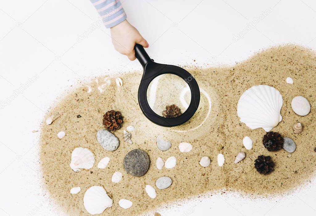 Young blonde girl child learning in montessori style class room or home concept. Explores natural nature materials sand, seashells, sea stones, pine cones with magnifying glass. Alternative education.