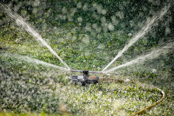 Aspersor Grama Pulverizando Água Sobre Grama Verde Sistema Irrigação — Fotografia de Stock