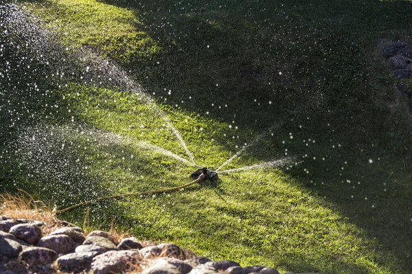 Gräsmatta Sprinkler Spraya Vatten Över Grönt Gräs Bevattningssystem — Stockfoto