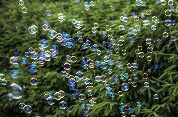 Viele Bunte Seifenblasen Fliegen Freien Grüne Bäume Hintergrund — Stockfoto