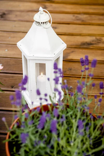 Blick Durch Unkonzentrierte Lavendelblüte Auf Weiße Romantische Holzlaterne Mit Weißer — Stockfoto