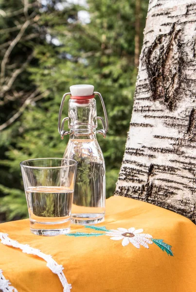 Вытянутый Березовый Сок Стеклянной Бутылке Открытом Воздухе Весной Березовый Фон — стоковое фото